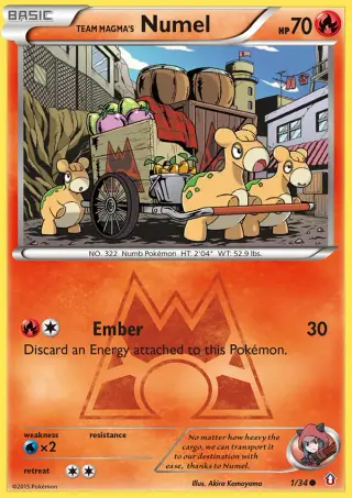 Team Magma's Numel 1