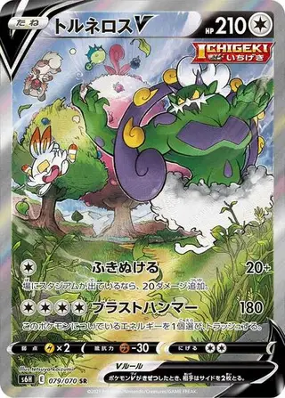 Tornadus V 079/070