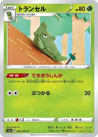 Metapod 002/070
