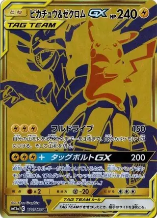 Pikachu & Zekrom GX 221/173