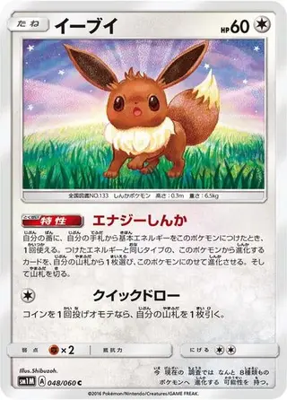 Eevee 048/060
