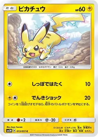 Pikachu 013/051