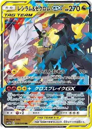 Reshiram & Zekrom GX 036/049