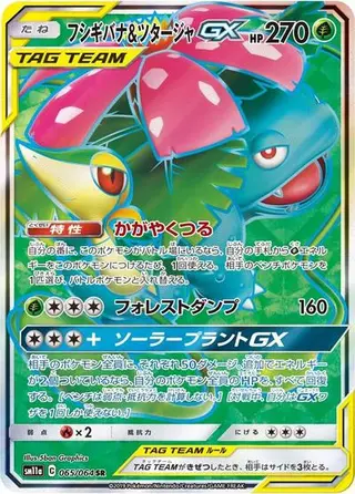 Venusaur & Snivy GX 065/064