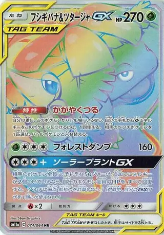 Venusaur & Snivy GX 074/064