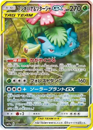 Venusaur & Snivy GX 066/064