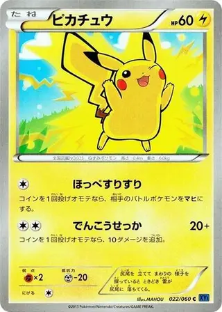 Pikachu 022/060