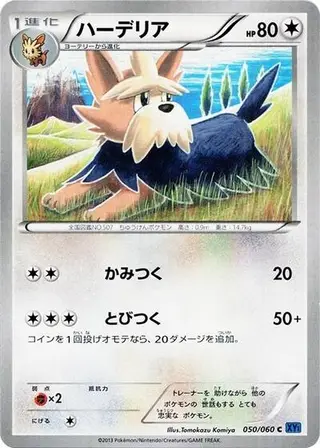 Herdier 050/060