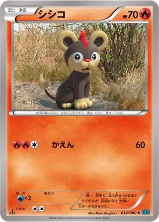 Litleo 014/080