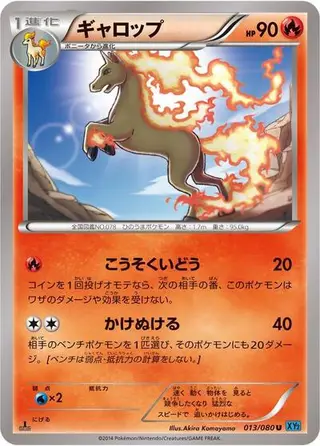 Rapidash 013/080