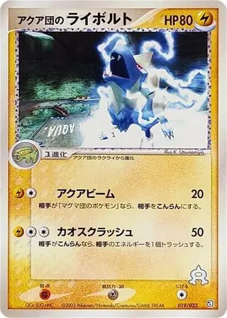 Team Aqua's Manectric 019/033