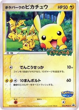 PokePark's Pikachu - 043/PCG-P 043/PCG-P