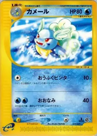 Wartortle 019/029