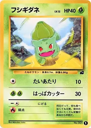 Bulbasaur 1