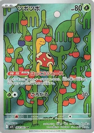 Shuckle 064/063