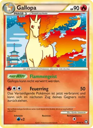 Gallopa 8