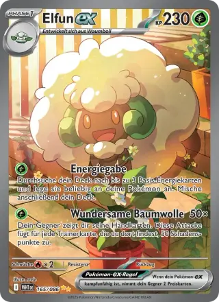Elfun-ex 165
