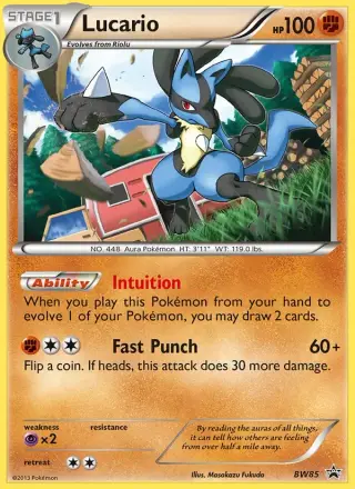 Lucario BW85