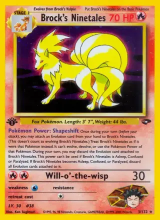 Brock's Ninetales 3