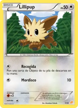 Lillipup 1