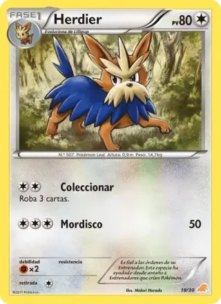 Herdier 19