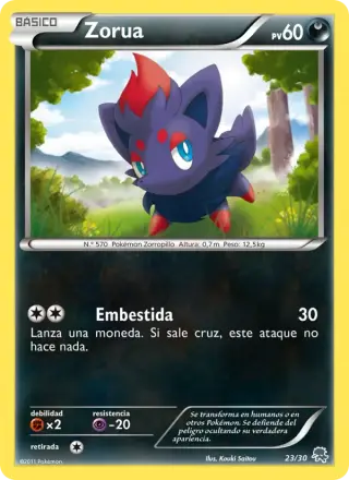 Zorua 23