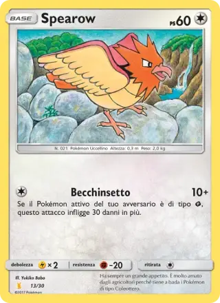 Spearow 13