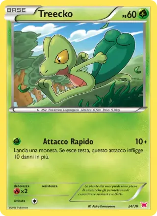 Treecko 24