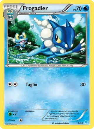 Frogadier 6