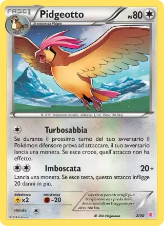 Pidgeotto 2